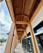 Timber Structure