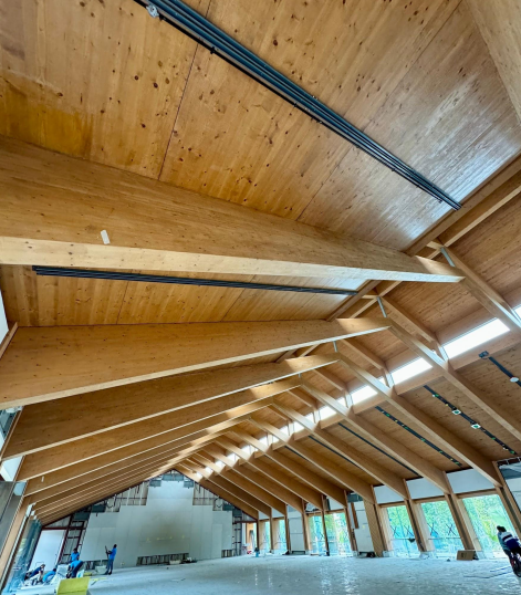 Timber Structure